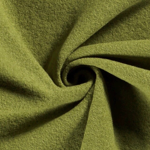 Wool felt kiwi