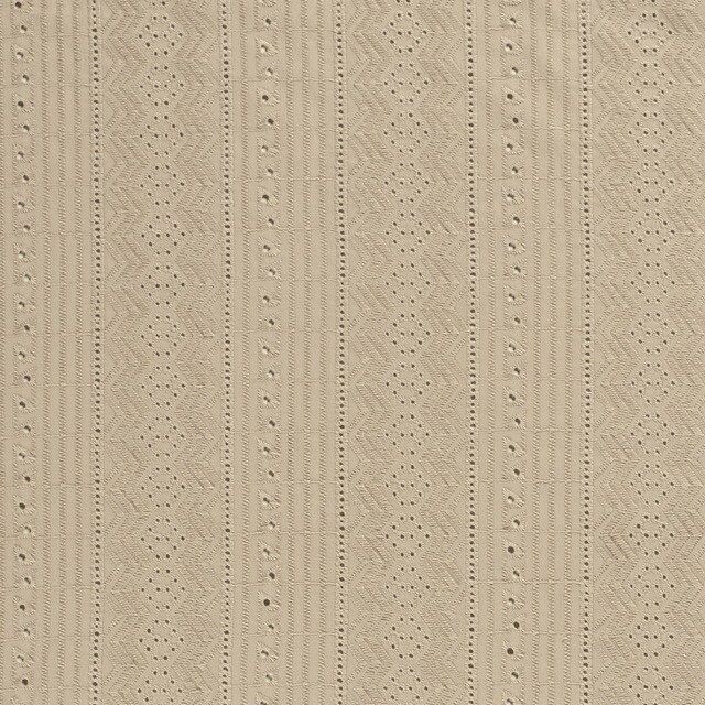 Cotton voile embroidered abstract beige