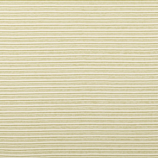 French terry yarn dyed stripes green