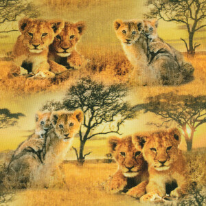 French Terry digital print lion cubs ocher
