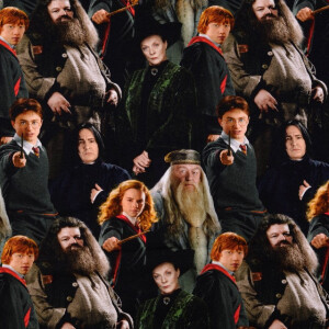 cotton jersey digital print Harry Potter multicolor