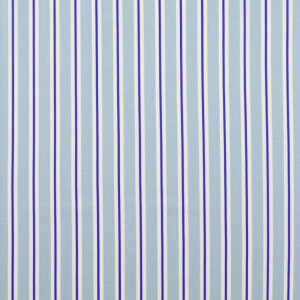 cotton poplin digital print striped blue
