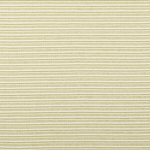 French Terry yarn dyed stripes green