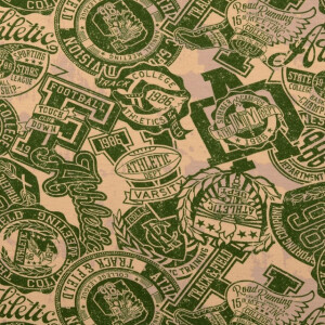 French Terry brushed college groen