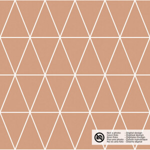 aqua protect triangles salmon