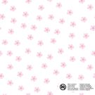 Cotton poplin flowers white
