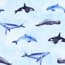 Cotton jersey digital print dolphins and whales light blue -limitededition-